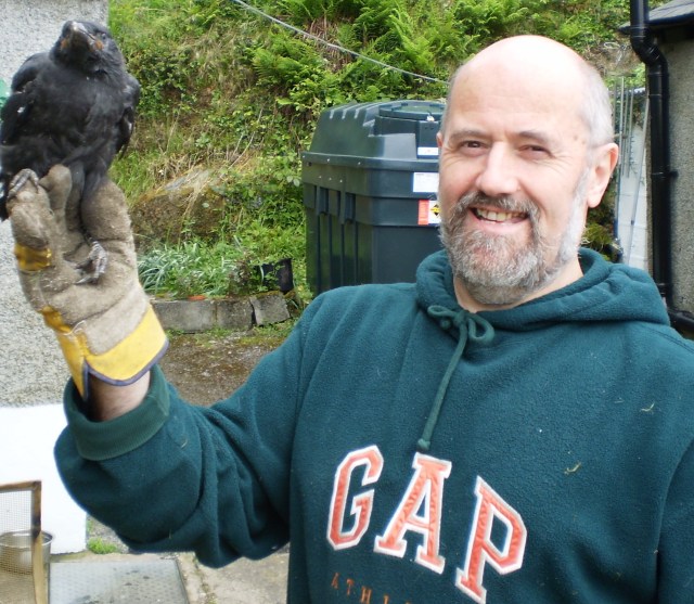Welsh Crow Cofio ‘Bendigeidfran’ Remembered 2009, our very special and blessed ...